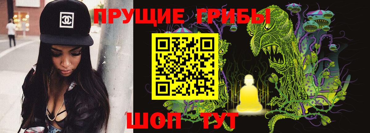 Псилоцибиновые грибы GOLDEN TEACHER Зима