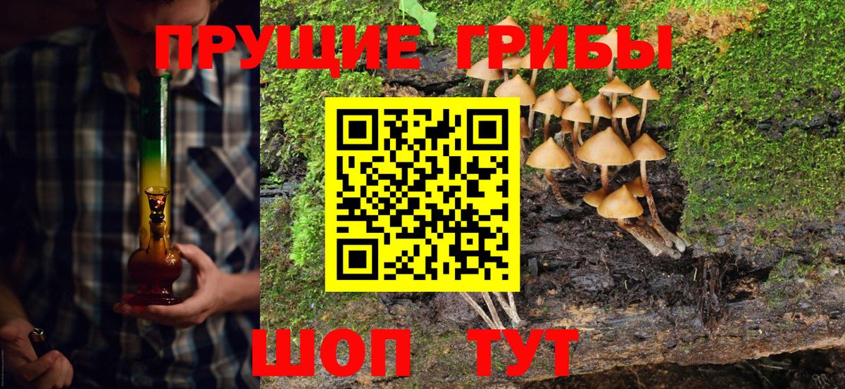 Зима  Галлюциногенные грибы мицелий  Вход с VPN  Псилоцибиновые грибы Cubensis 
