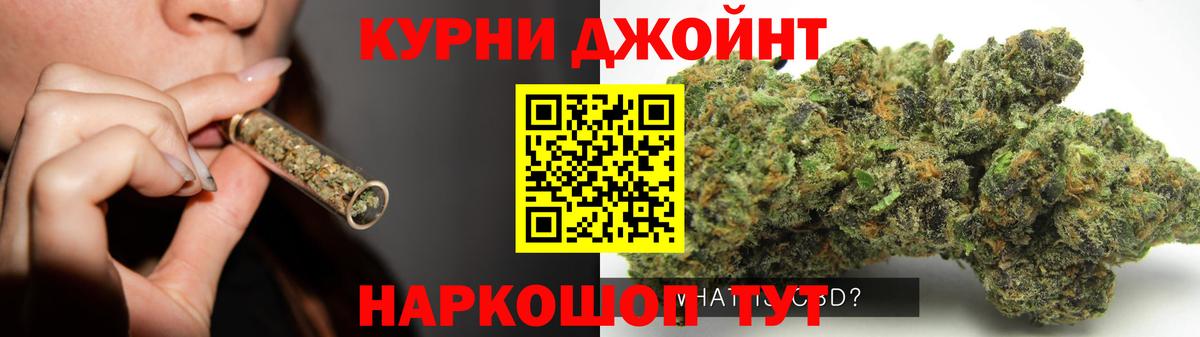 Каннабис OG Kush Зима